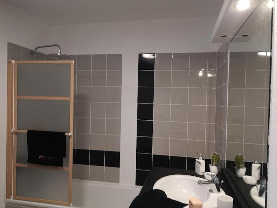 Appartement T2 Avec Jardin Proche Aeroport, Airbus, Meet à Daux Extérieur photo
