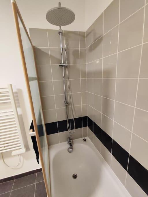 Appartement T2 Avec Jardin Proche Aeroport, Airbus, Meet à Daux Extérieur photo
